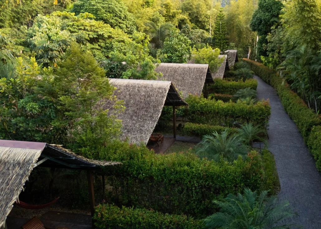 Elephant Hills rainforest camp from above